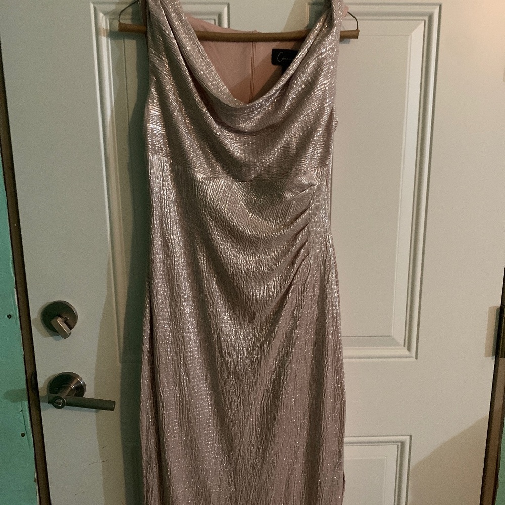Women Shimmery Light Pink Dress